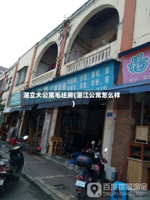 湛立大公寓毛坯房(湛江公寓怎么样)-第2张图片
