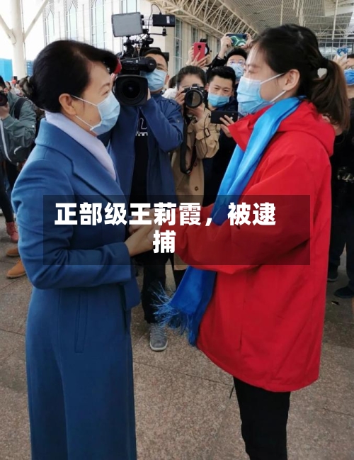 正部级王莉霞	，被逮捕-第2张图片