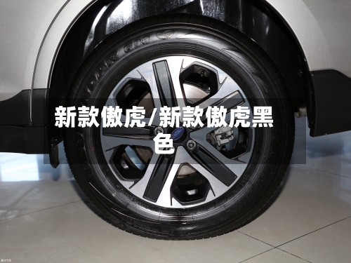 新款傲虎/新款傲虎黑色-第2张图片