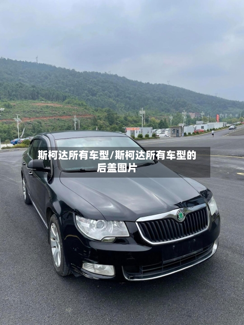 斯柯达所有车型/斯柯达所有车型的后盖图片