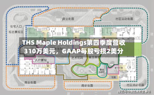 THS Maple Holdings第四季度营收310万美元，GAAP每股亏损2美分-第3张图片