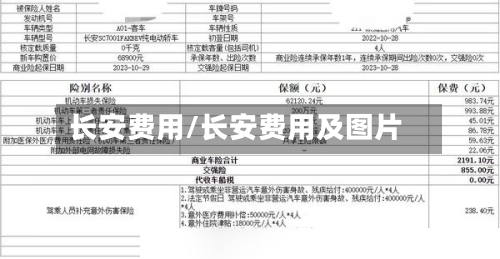 长安费用/长安费用及图片