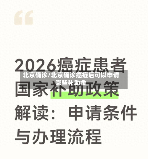 北京确诊/北京确诊癌症后可以申请哪些补助金-第2张图片
