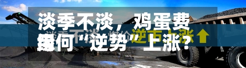 淡季不淡，鸡蛋费用缘何“逆势”上涨？-第3张图片