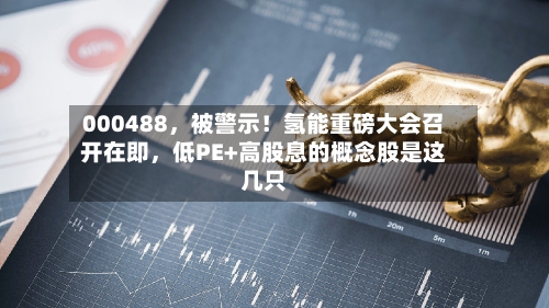 000488，被警示！氢能重磅大会召开在即，低PE+高股息的概念股是这几只