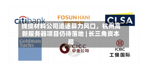 线缆材料公司追逐算力风口，杭州高新服务器项目仍待落地 | 长三角资本局-第2张图片