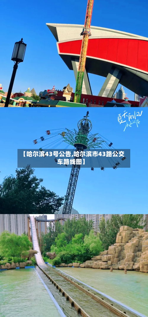 【哈尔滨43号公告,哈尔滨市43路公交车路线图】