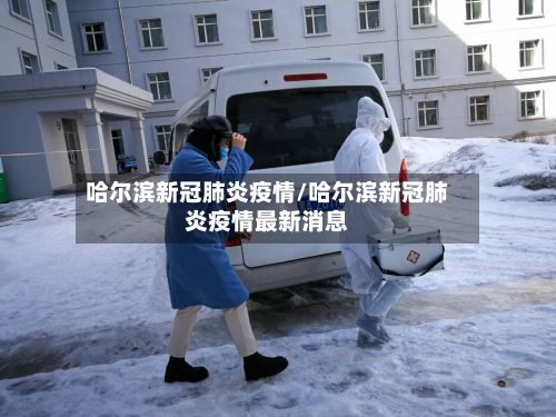 哈尔滨新冠肺炎疫情/哈尔滨新冠肺炎疫情最新消息-第3张图片