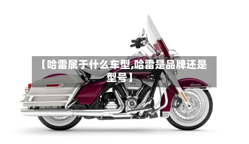 【哈雷属于什么车型,哈雷是品牌还是型号】-第3张图片