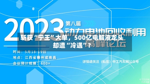斩获“宁王”大单，500亿电解液龙头却遭“冷遇”？