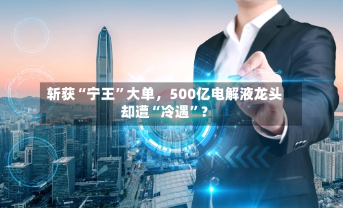 斩获“宁王”大单，500亿电解液龙头却遭“冷遇”？-第2张图片