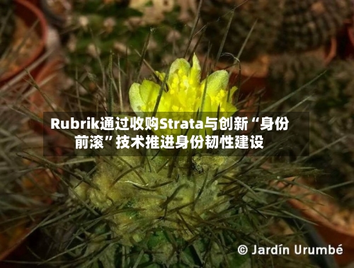 Rubrik通过收购Strata与创新“身份前滚”技术推进身份韧性建设-第2张图片