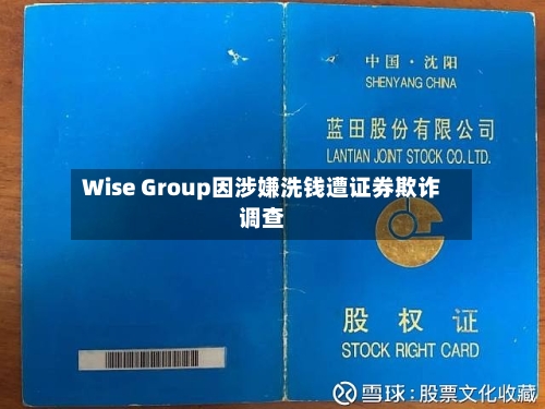 Wise Group因涉嫌洗钱遭证券欺诈调查