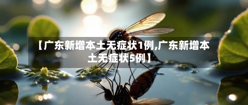 【广东新增本土无症状1例,广东新增本土无症状5例】