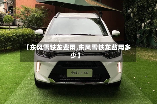 【东风雪铁龙费用,东风雪铁龙费用多少】-第2张图片