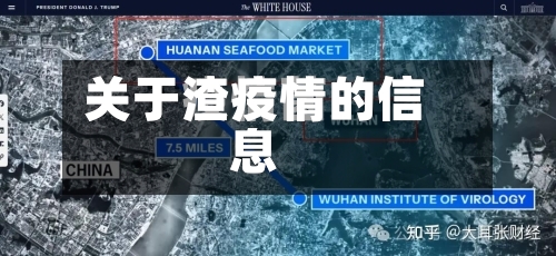 关于渣疫情的信息-第3张图片