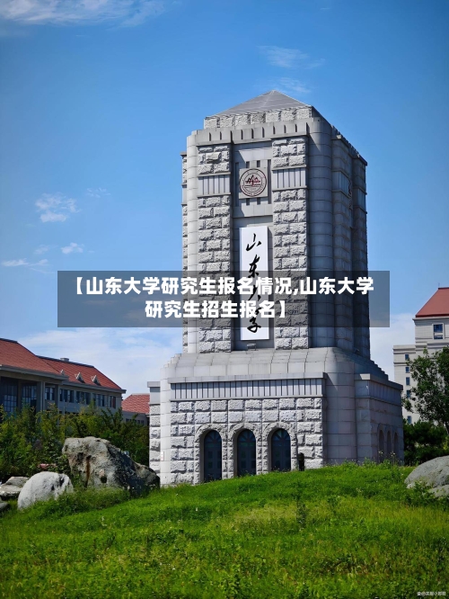 【山东大学研究生报名情况,山东大学研究生招生报名】-第2张图片