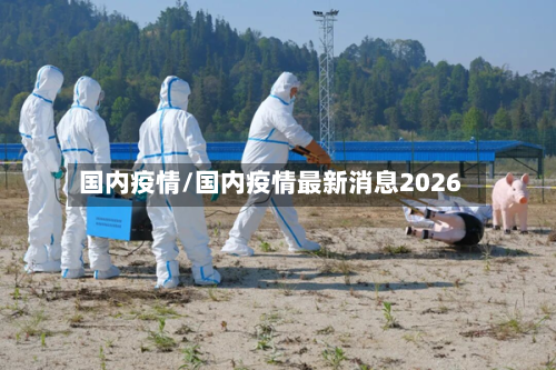 国内疫情/国内疫情最新消息2026-第2张图片