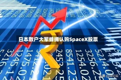 日本散户大军蜂拥认购SpaceX股票-第2张图片
