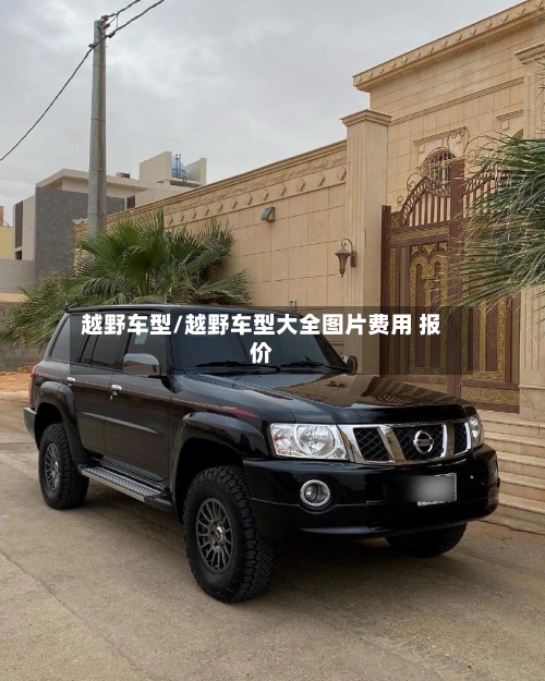 越野车型/越野车型大全图片费用 报价-第2张图片