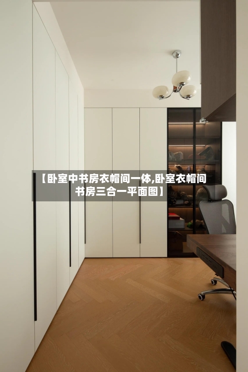 【卧室中书房衣帽间一体,卧室衣帽间书房三合一平面图】-第2张图片