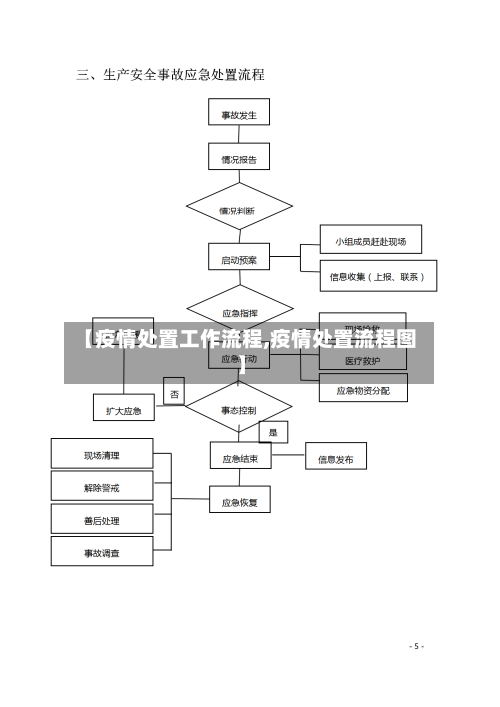 【疫情处置工作流程,疫情处置流程图】