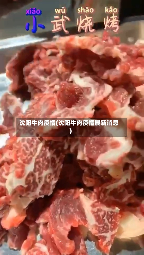 沈阳牛肉疫情(沈阳牛肉疫情最新消息)