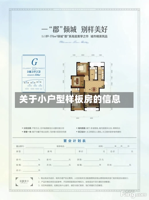 关于小户型样板房的信息-第3张图片