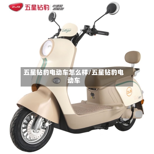 五星钻豹电动车怎么样/五星钻豹电动车-第2张图片