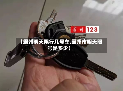 【霸州明天限行几号车,霸州市明天限号是多少】-第2张图片