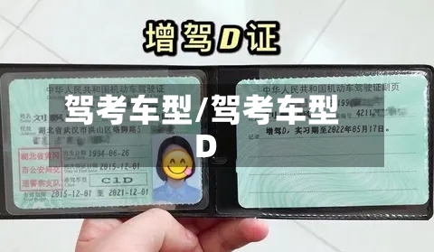 驾考车型/驾考车型D