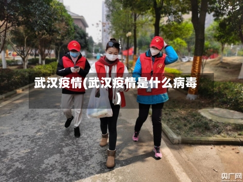 武汉疫情(武汉疫情是什么病毒)