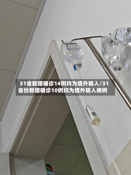 31省新增确诊14例均为境外输入/31省份新增确诊10例均为境外输入病例-第3张图片