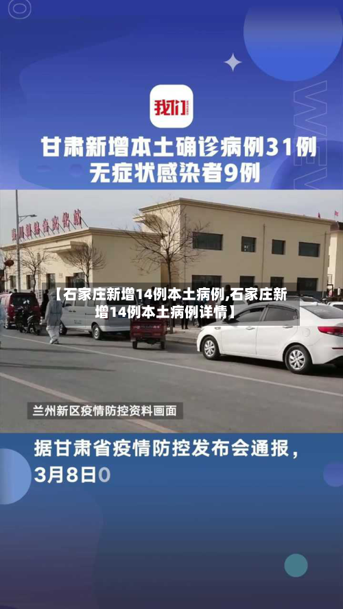 【石家庄新增14例本土病例,石家庄新增14例本土病例详情】-第2张图片