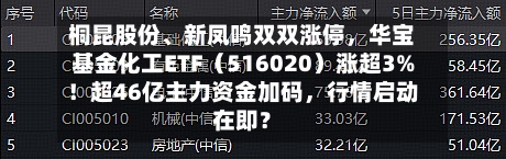 桐昆股份	、新凤鸣双双涨停，华宝基金化工ETF（516020）涨超3%！超46亿主力资金加码，行情启动在即？-第2张图片