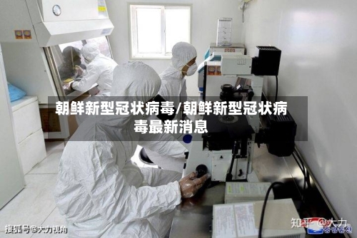 朝鲜新型冠状病毒/朝鲜新型冠状病毒最新消息-第2张图片