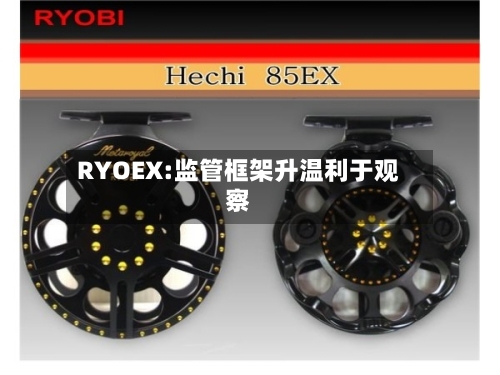 RYOEX:监管框架升温利于观察